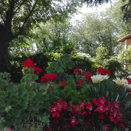 Pietralta Villa *
