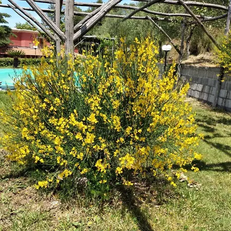 Pietralta * 索伦托